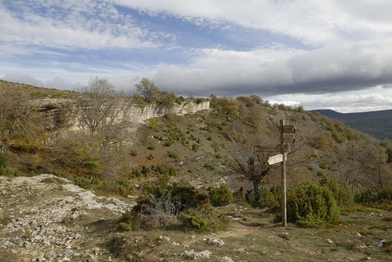 Cruce de senderos