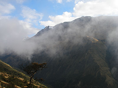 La bruma de la maana