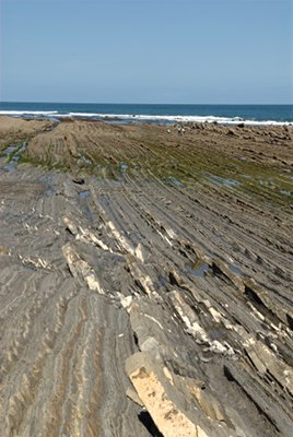 Los estratos del flysch