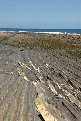 Los estratos del flysch