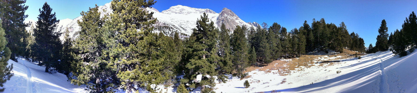 Panormica