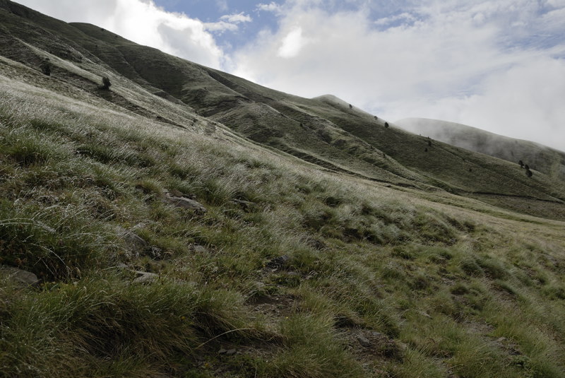 La ladera sur