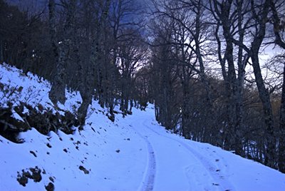 El camino nevado