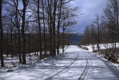 El robledal