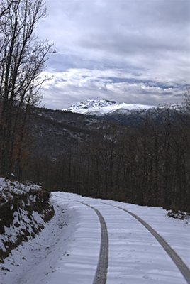 Pealara al fondo