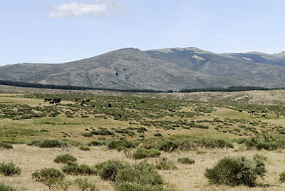 Altos de la Morcuera