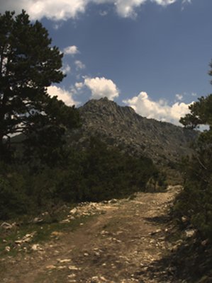 Collado del Mostajo
