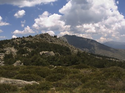 Pea del Cuervo