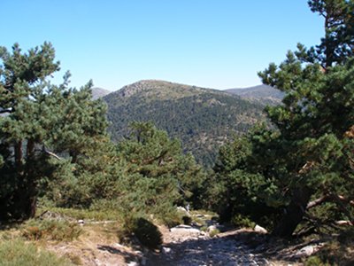 Cerro del guila