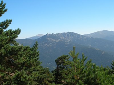 Siete Picos