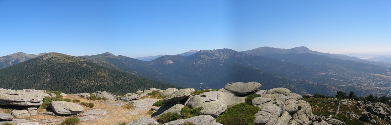 Panormica