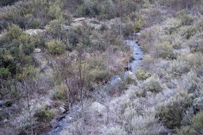 Regato durante el ascenso