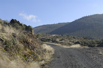 El camino ascendente