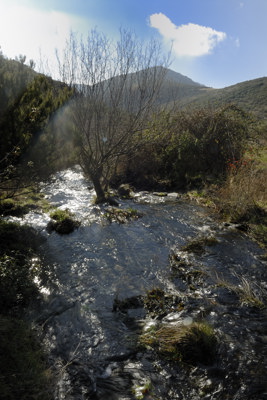 Arroyo de Pearrubia