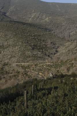 El camino de la alambrada