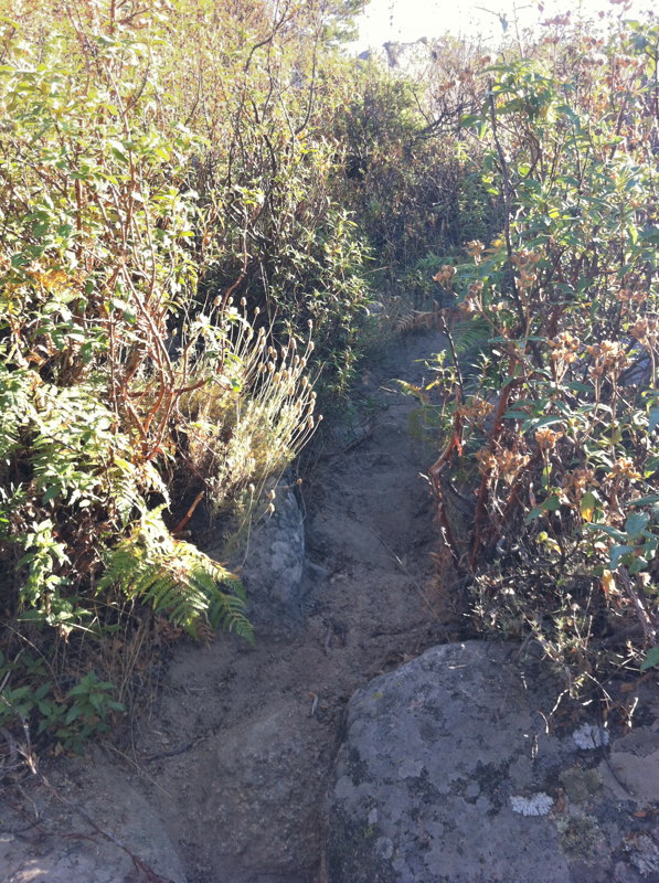 El sendero a la cuerda