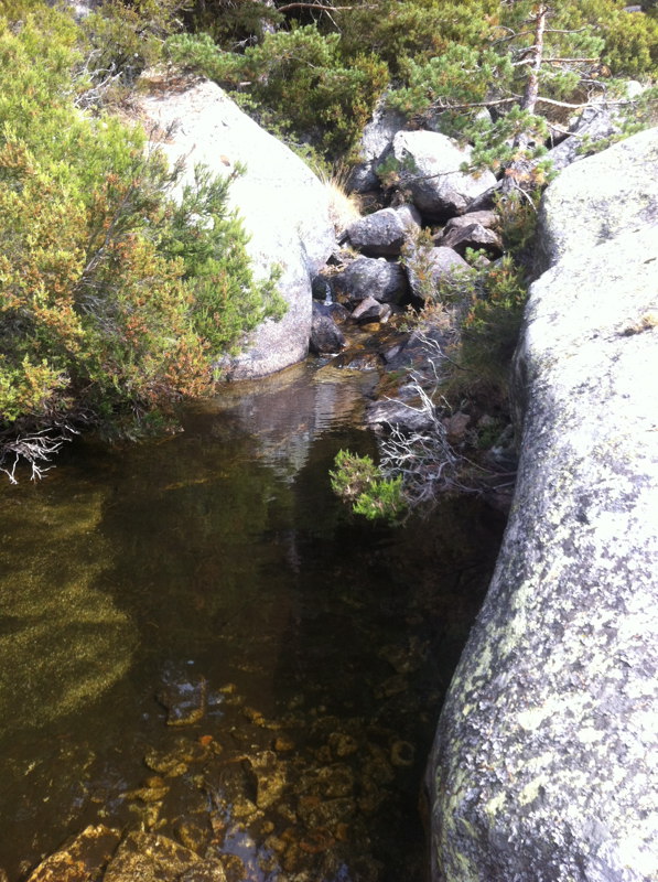 Arroyo de don Simn de los Chorros