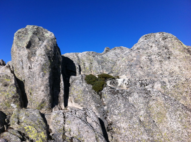 Cima del Cerro de los Hoyos