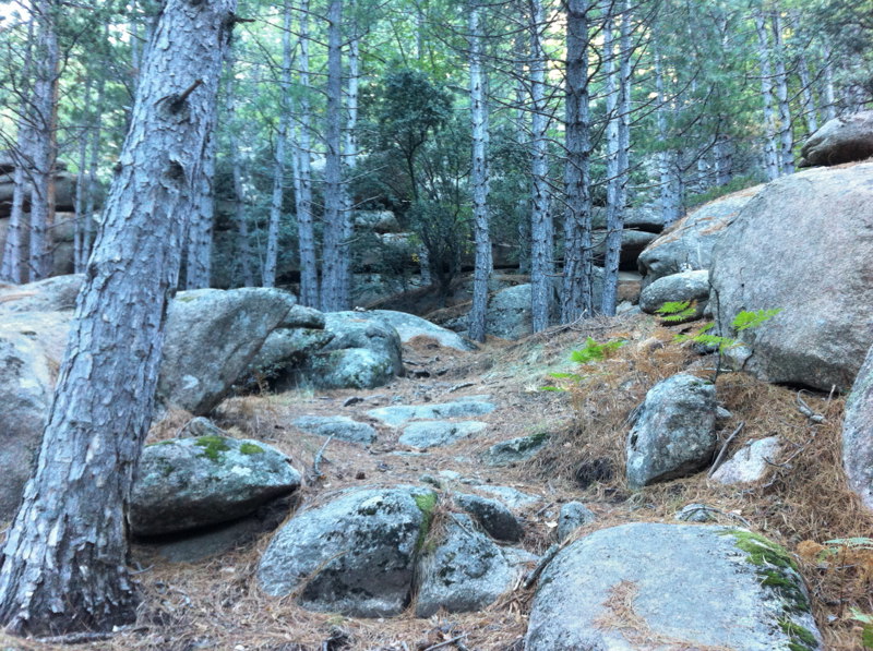Sendero al Laberinto