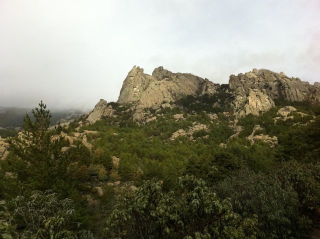 Desde el Arroyo de la Dehesilla