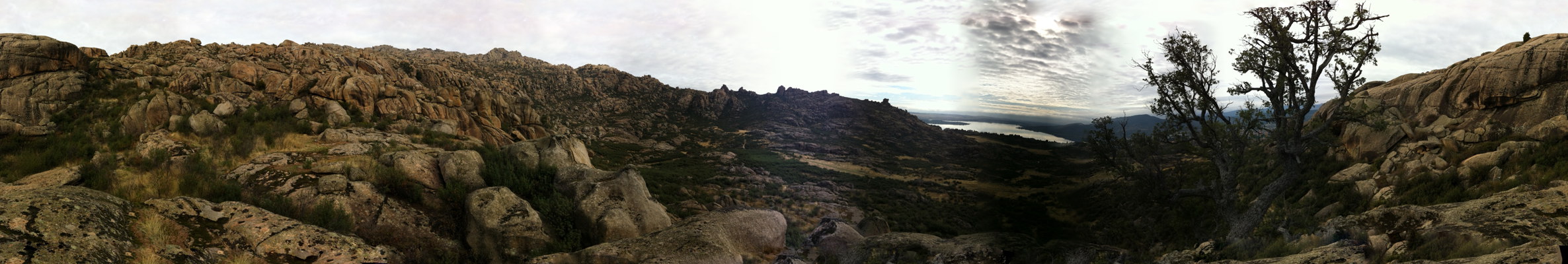 Panormica