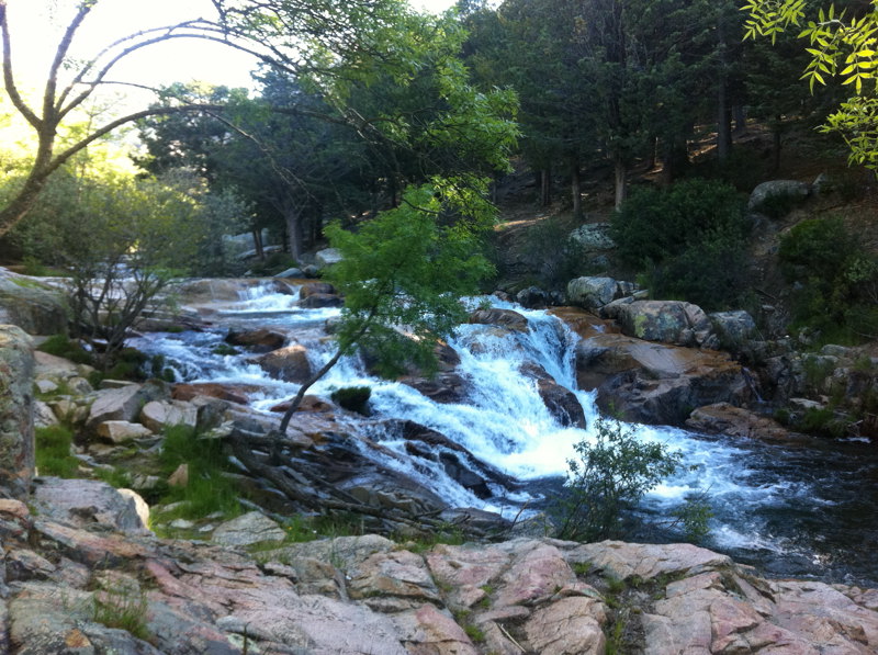 El Manzanares
