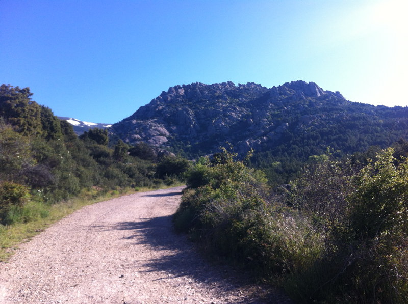 Zona de El Pjaro