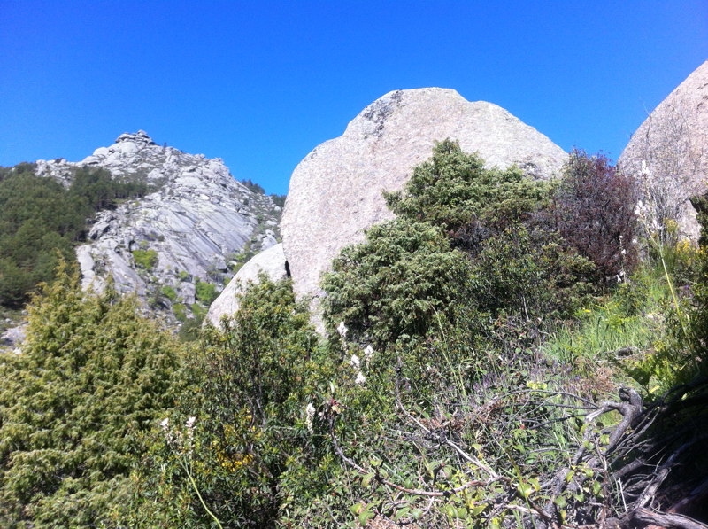 Junto a Cerro Ortigoso