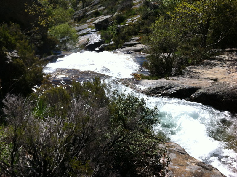Aguas tempestuosas