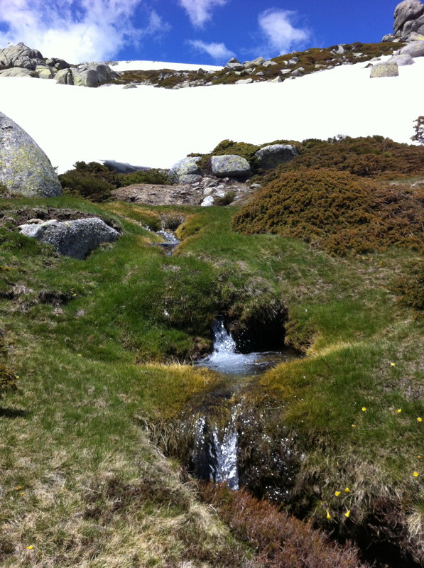 Arroyo de Simn de los Ros