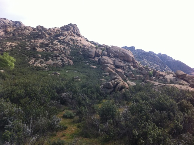 Paisaje de La Pedriza