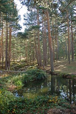 Coto de pesca