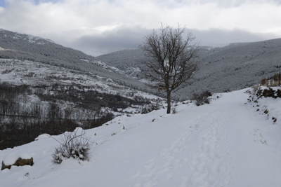 La pista nevada