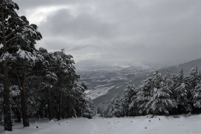 El cortafuegos y el valle