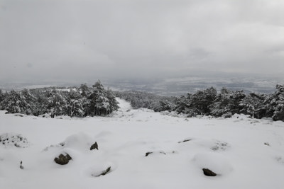 El cortafuegos