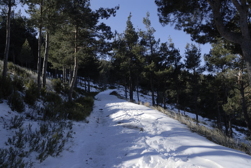 El suave ascenso