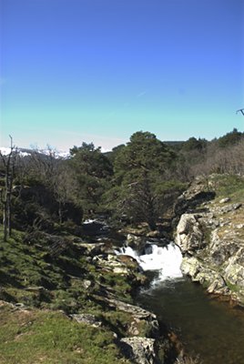 Río Lozoya