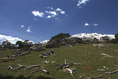 Llegando a la cima