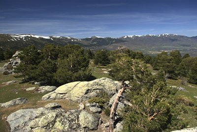 Vistas desde lo alto