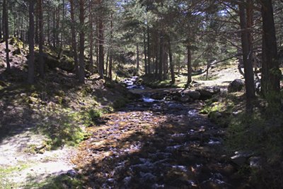 El descenso