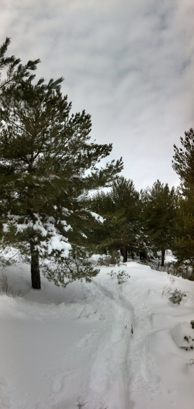 El sendero