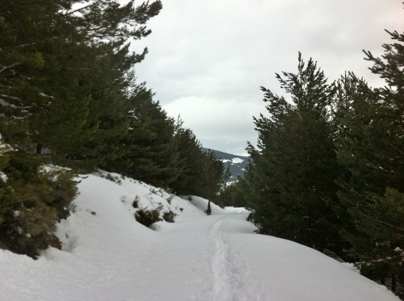 El descenso