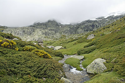 Arroyo de la Laguna