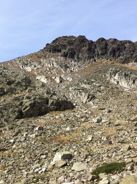 Altar de Claveles