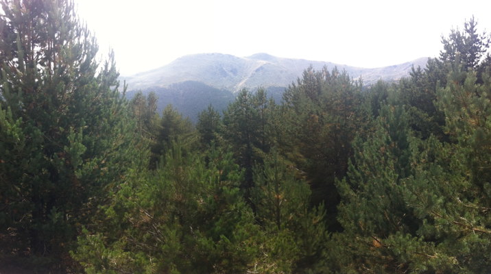 Vista desde el Mirador de la Gitana