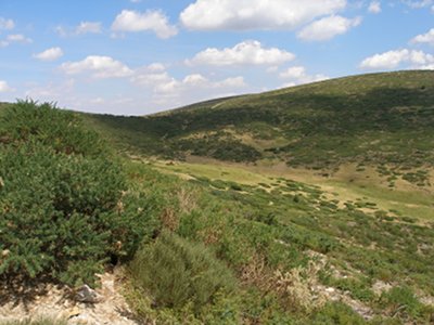 Prados en el Puerto de las Calderuelas