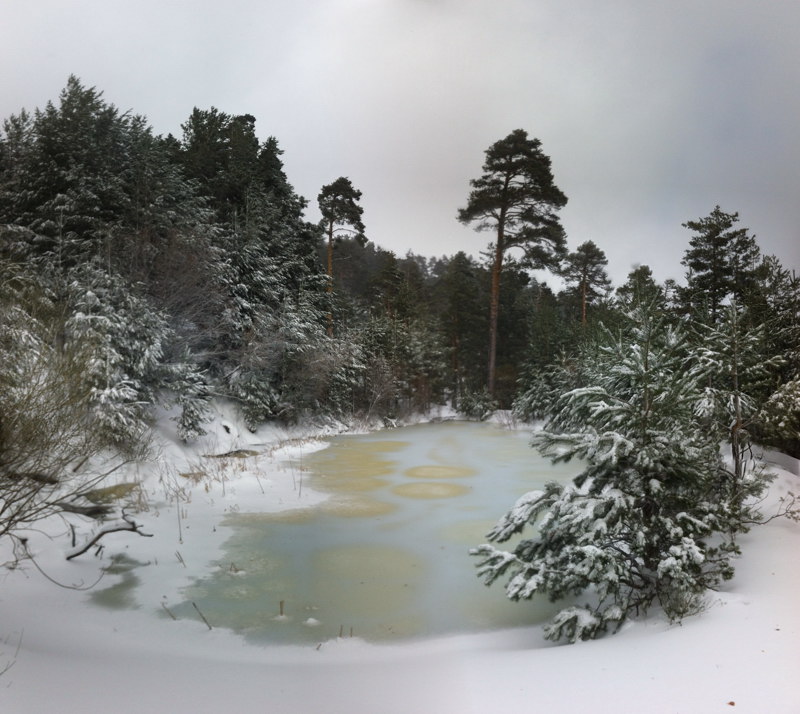 Laguna