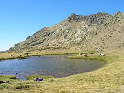 La laguna de los Pájaros