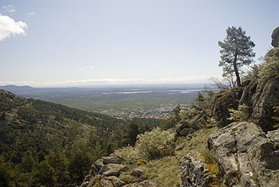 Mirador de Los Alerces