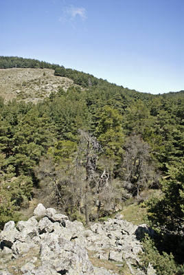 Arroyo desde peas